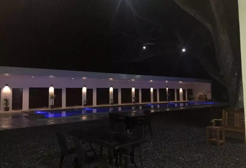 Alesseo Backpackers   Hostel