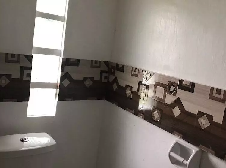 Alesseo Backpackers   Hostel