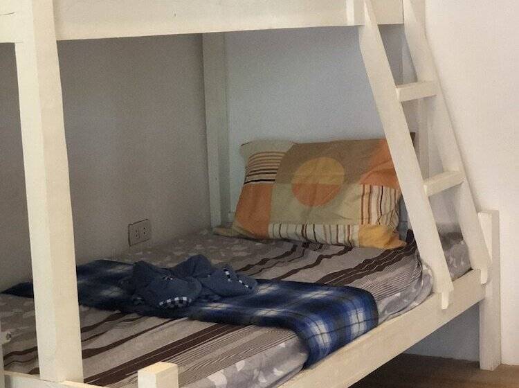 Alesseo Backpackers   Hostel