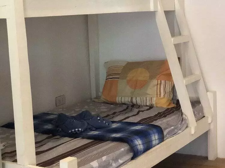 Alesseo Backpackers   Hostel