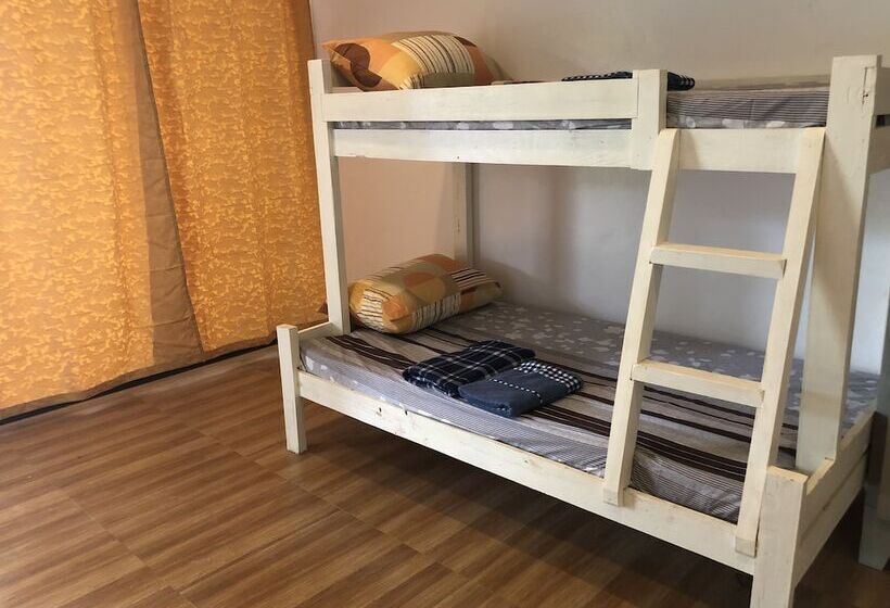 Alesseo Backpackers   Hostel