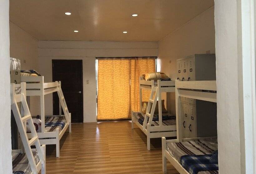 Alesseo Backpackers   Hostel