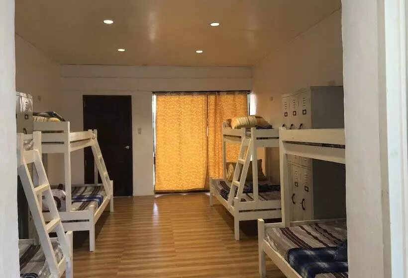 Alesseo Backpackers   Hostel