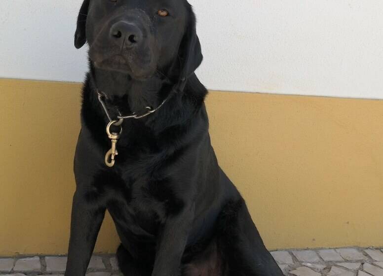 Bed and Breakfast Jema Holidays