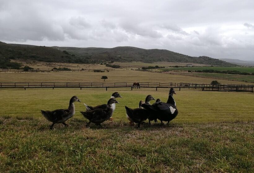 酒店 Outeniquabosch Lodge