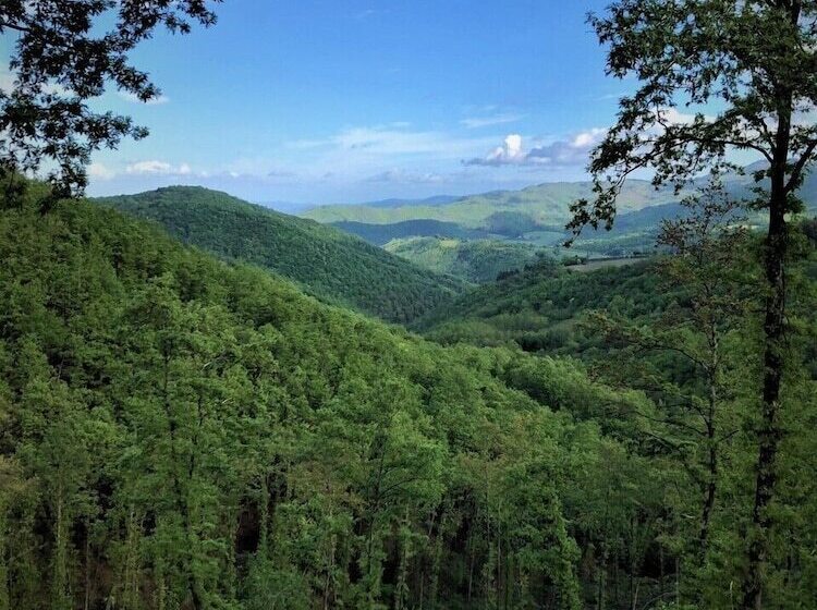 فندق ريفى Agriturismo La Sala