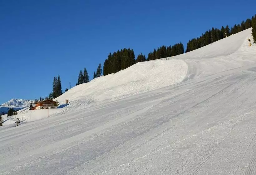 Wallegg Lodge   Alpine Premium Chalet   Ski In Ski Out   Real Alpine Location Saalbach