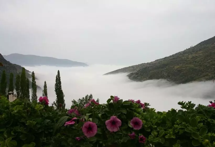 Hostal Las Terrazas De La Alpujarra