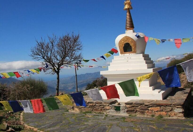 Hostal Las Terrazas De La Alpujarra