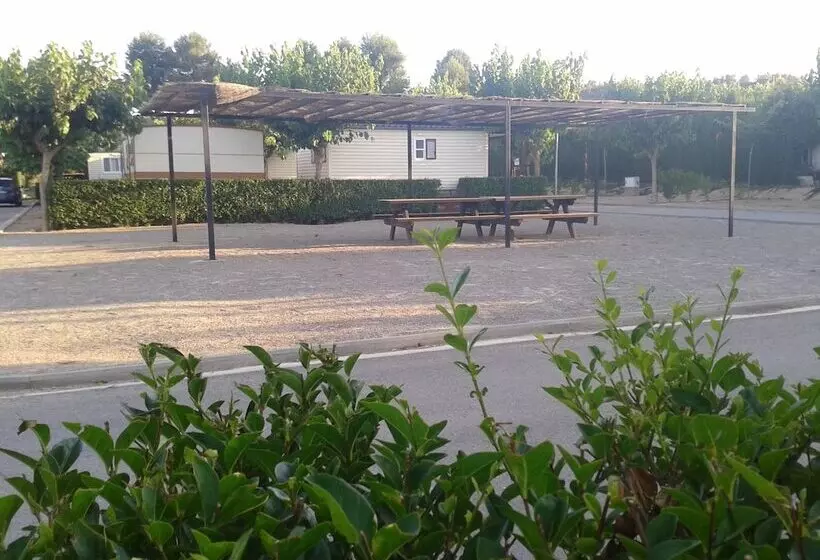 Hotelli Camping Fayón Fishing