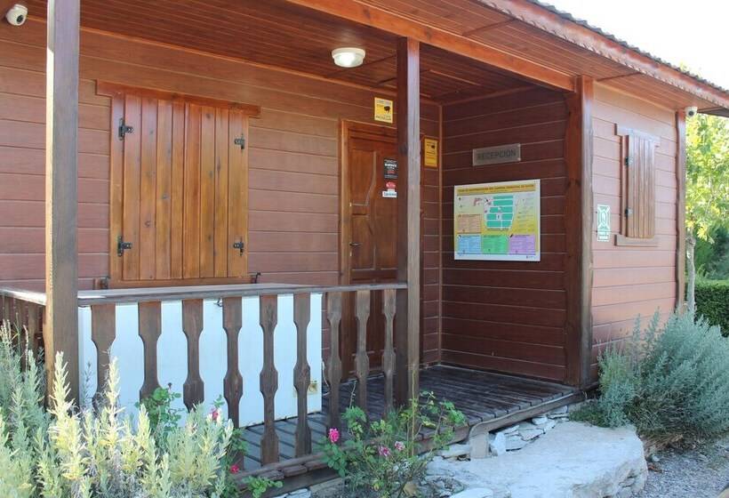 酒店 Camping Fayón Fishing