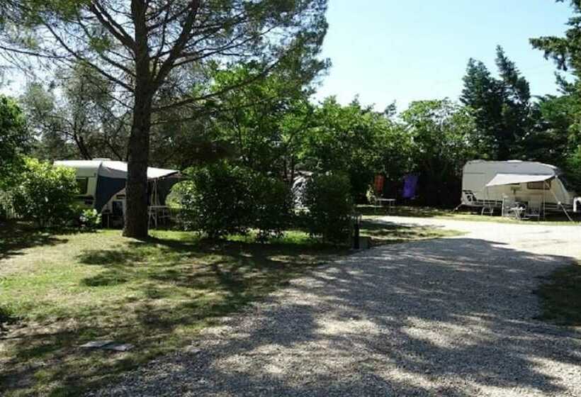 酒店 Camping L'olivier