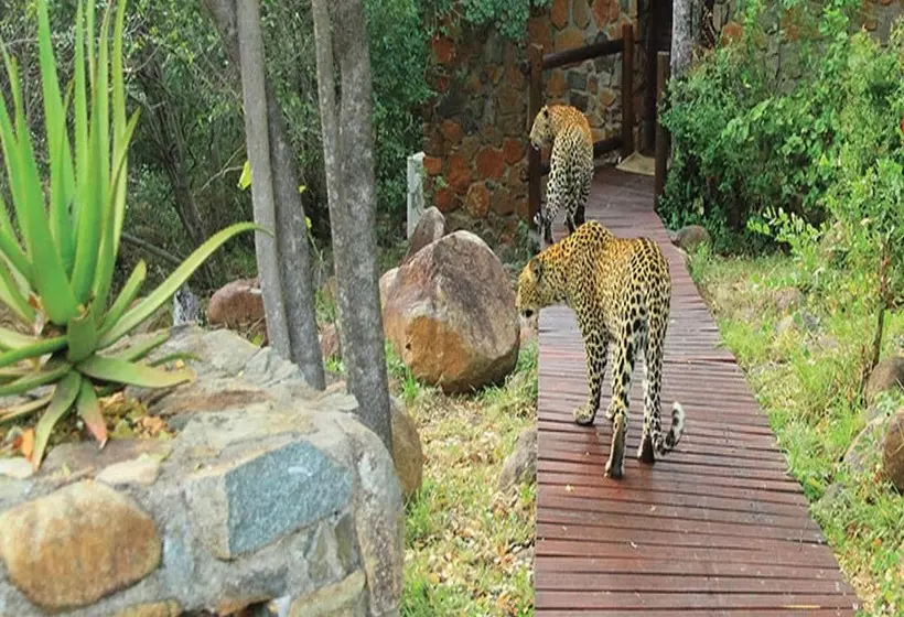 Hotelli Leopard Hills