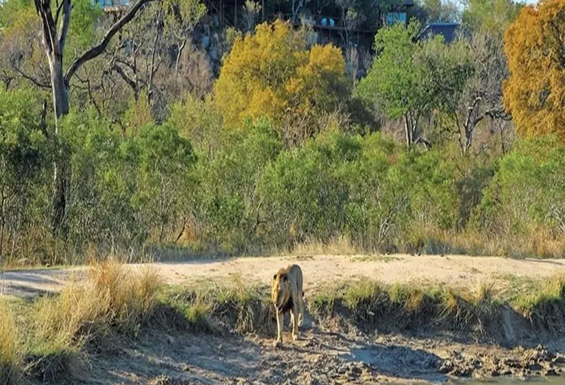 Hotelli Leopard Hills