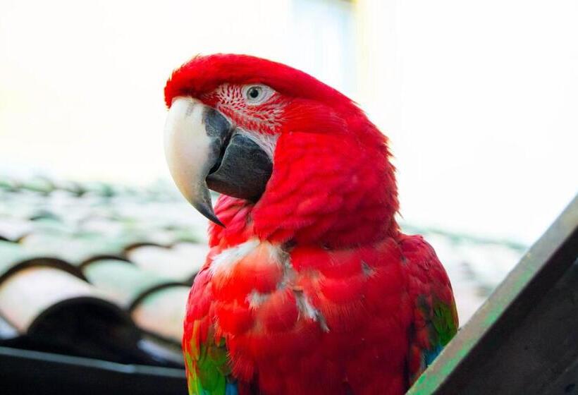 هتل & Restaurante Guarania