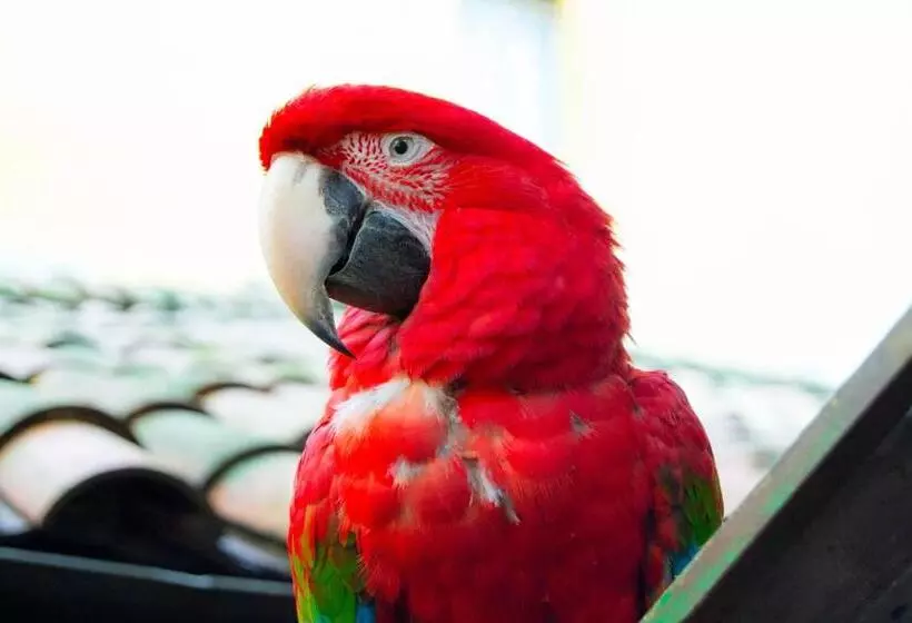 هتل & Restaurante Guarania