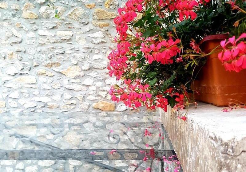 هتل Vila Trebicka