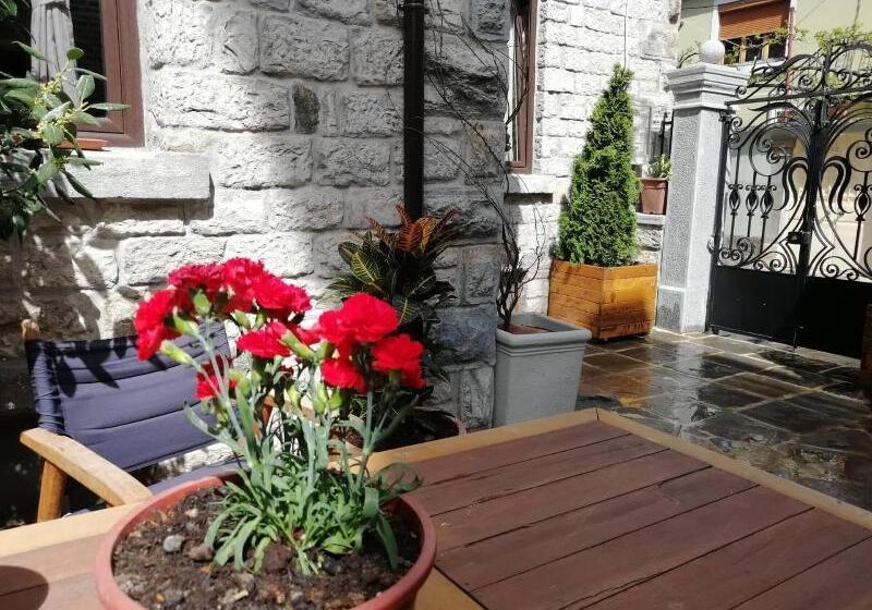 هتل Vila Trebicka