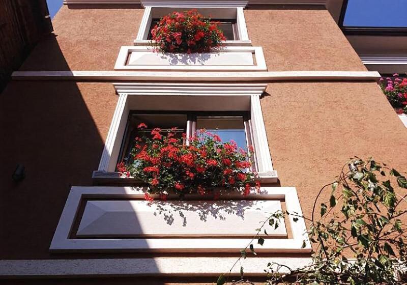 هتل Vila Trebicka