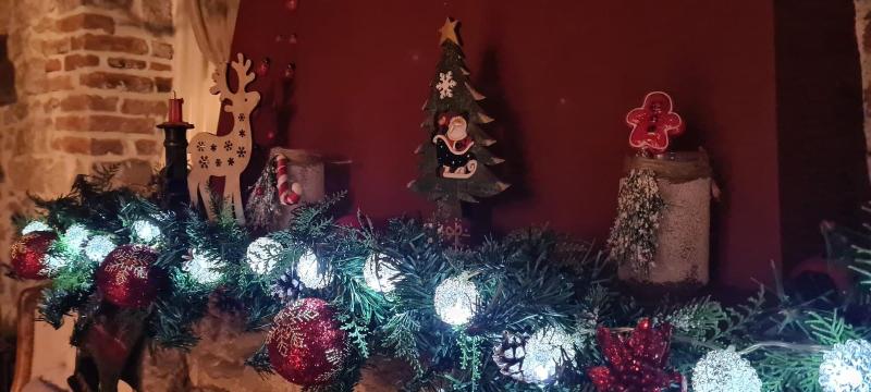 هتل Vila Trebicka