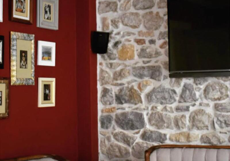 هتل Vila Trebicka