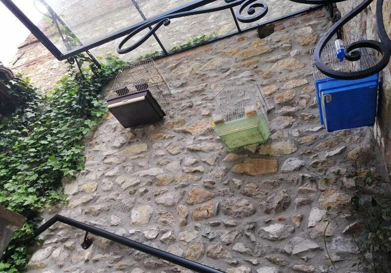 هتل Vila Trebicka