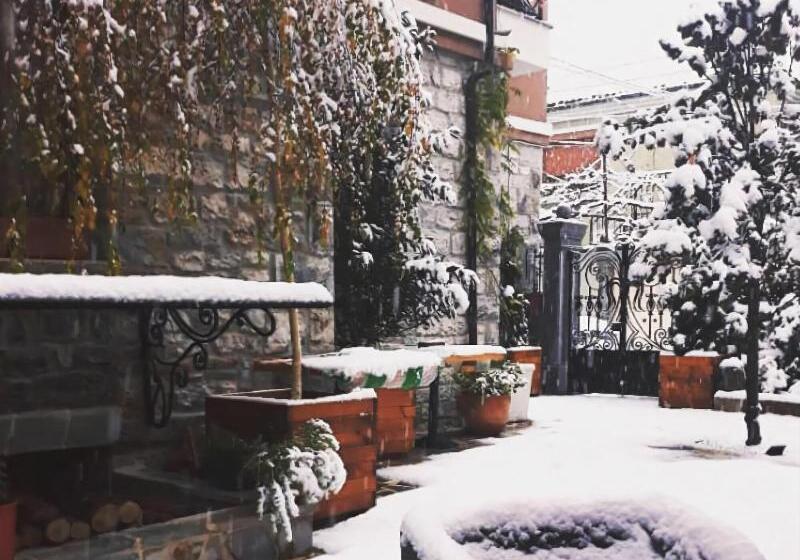 هتل Vila Trebicka