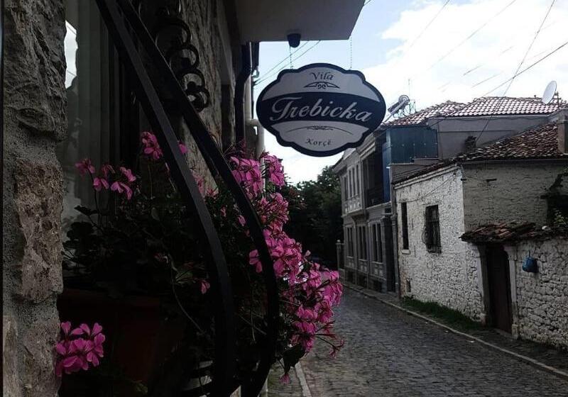 هتل Vila Trebicka