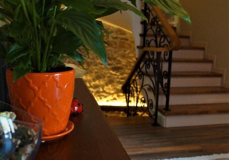 هتل Vila Trebicka