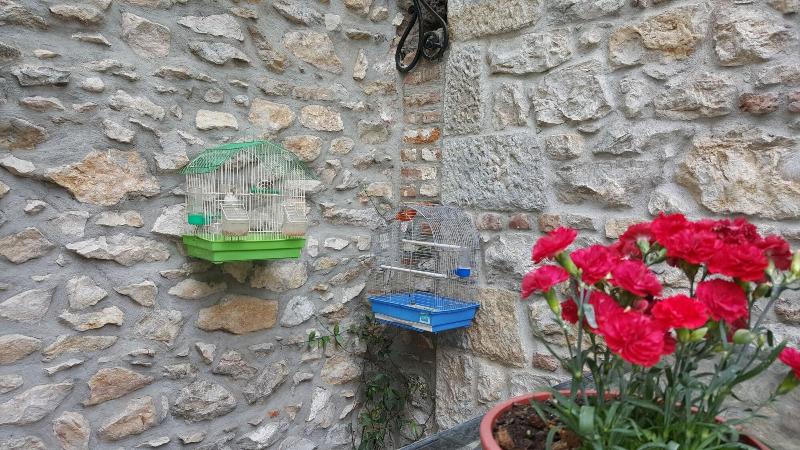 هتل Vila Trebicka