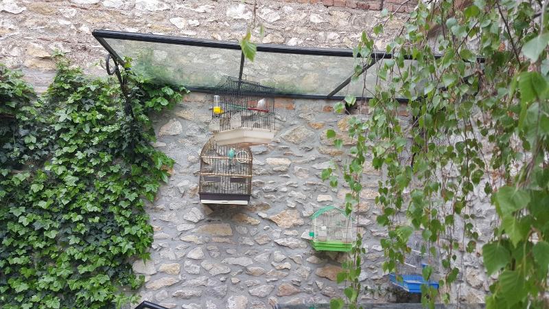 هتل Vila Trebicka