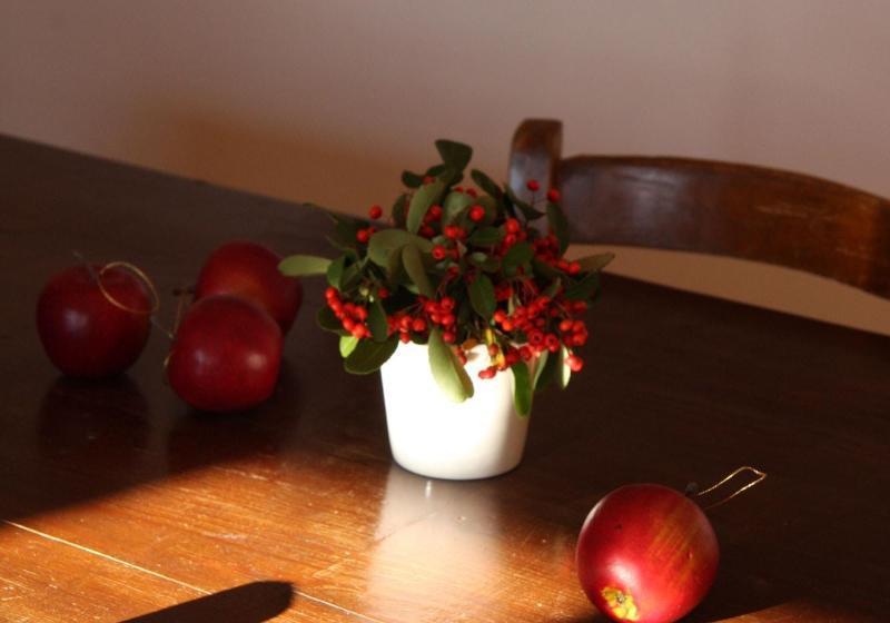 Il Casale Nella Natura