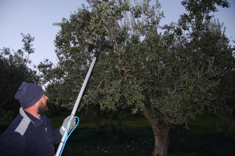 Il Casale Nella Natura