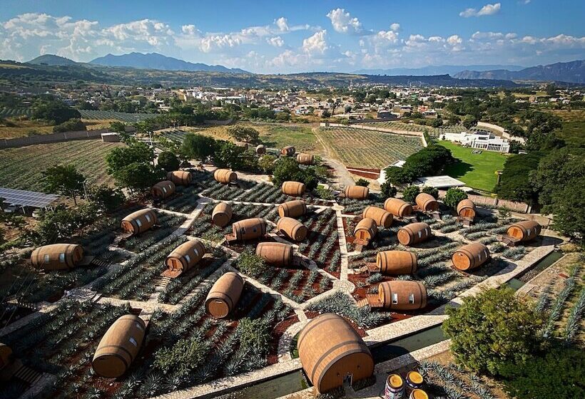 Matices Hotel De Barricas