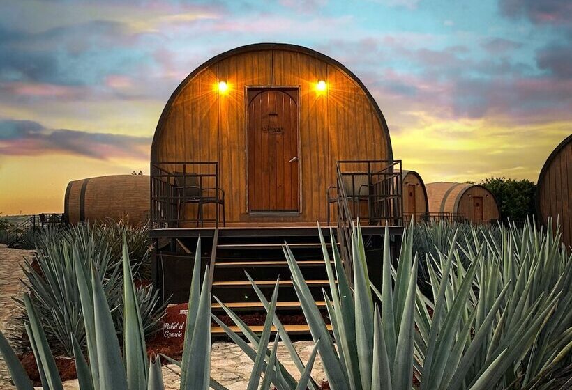 Matices Hotel De Barricas