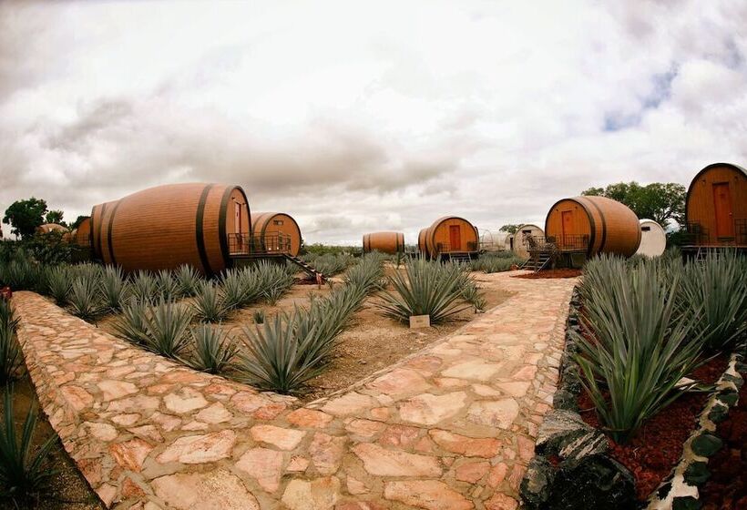 Matices Hotel De Barricas