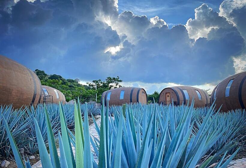 Matices Hotel De Barricas