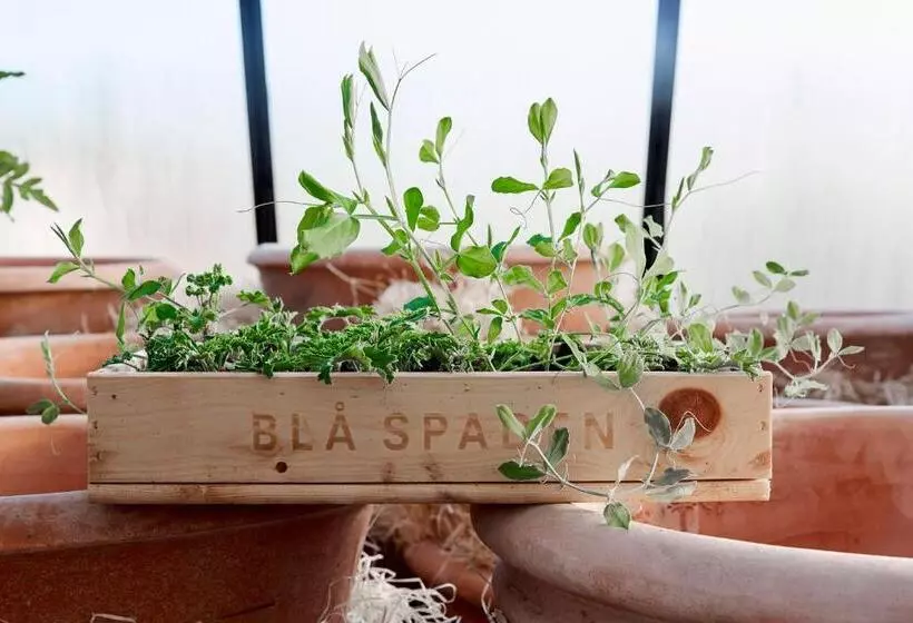 Aamiaismajoitus (B&B) örum 119