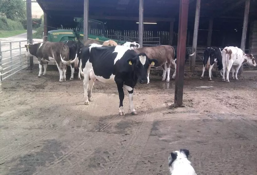 Higher Bruckland Farmhouse B&b