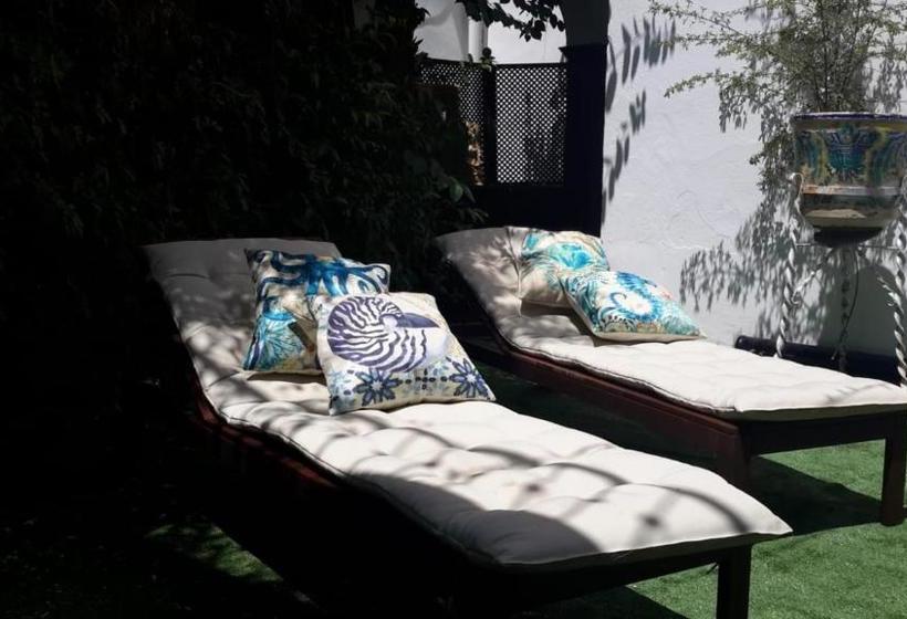 فندق Domus Astigi