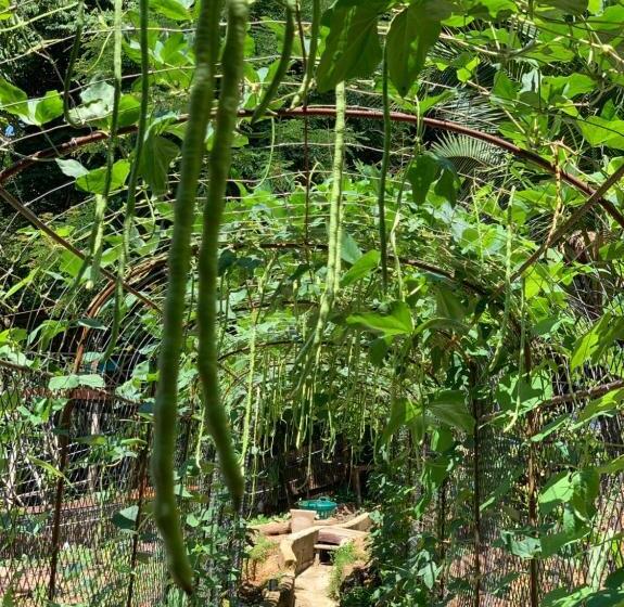 هتل Koh Jum Ocean Beach Resort