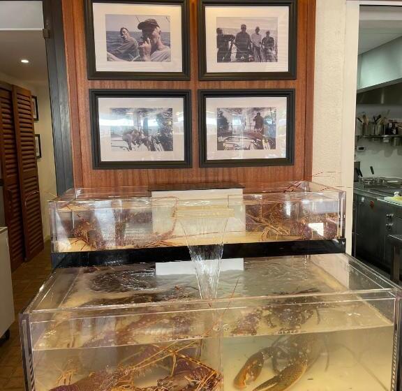 בית מלון כפרי L'oustaou De Porquerolles