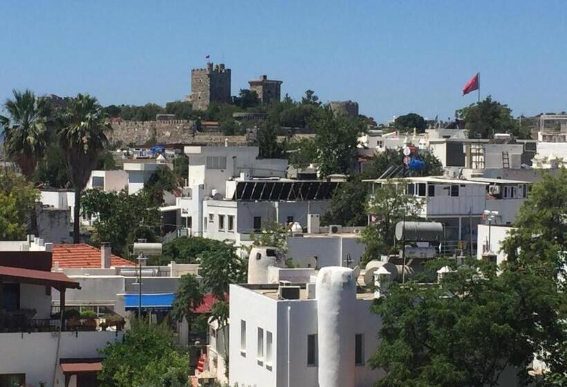 فندق Tay Pansiyon