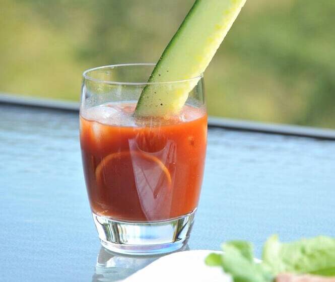 هتل The Elephant Camp