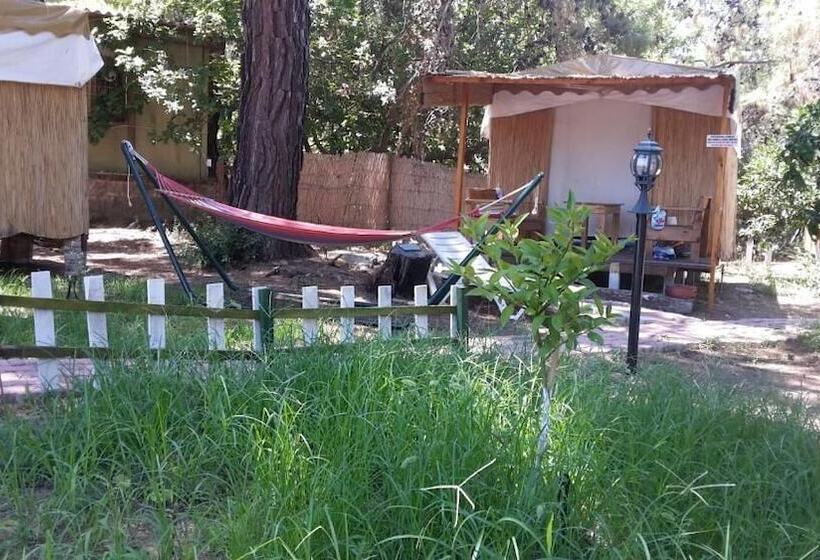 پانسیون Secret Garden Hotel & Bungalows