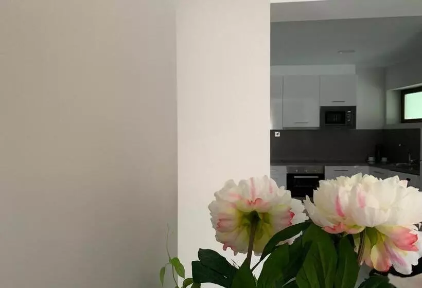 Apartamentos M.bell