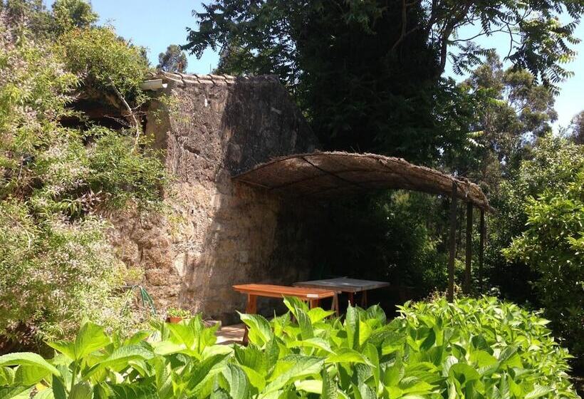 Bed and Breakfast Casa O Fabal