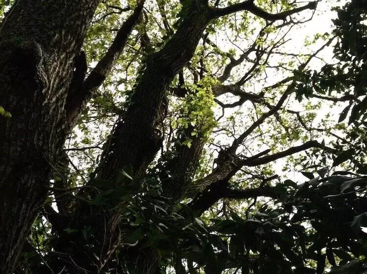 Aamiaismajoitus (B&B) Casa O Fabal