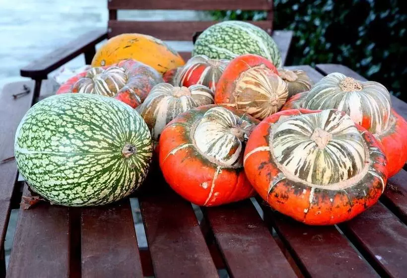 Aamiaismajoitus (B&B) Casa O Fabal