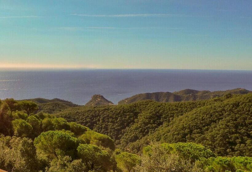 تختخواب و صبحانه La Roqueta